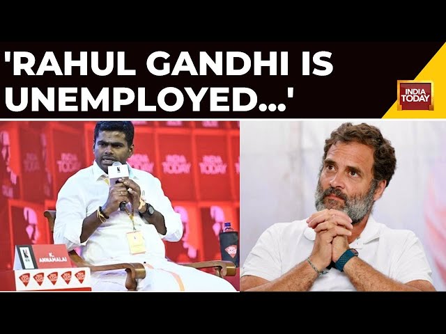 BJP's Annamalai: Just Because Rahul Gandhi Is Unemployed, Doesn't Mean India's Youth Is Jobless