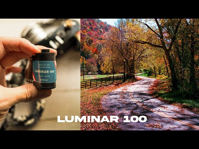 The PERFECT Landscape Film - Shooting Fall Color on Luminar 100
