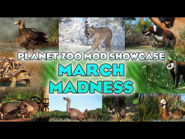 🐦 MARCH MADNESS! 20+! Awesome Mods! | Planet Zoo Mod Showcase