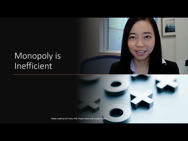 Monopoly (4): Why Monopoly Causes Allocative Inefficiency