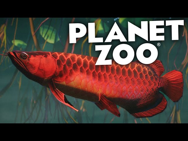 IKAN AROWANA MERAH!! | Planet Zoo Mod (Bahasa Indonesia)