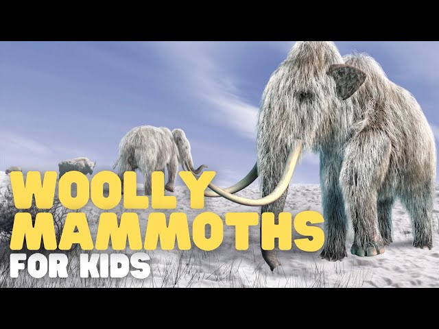 Woolly Mammoths for Kids | Learn all about this furry animal and its existence during the Ice Ages
