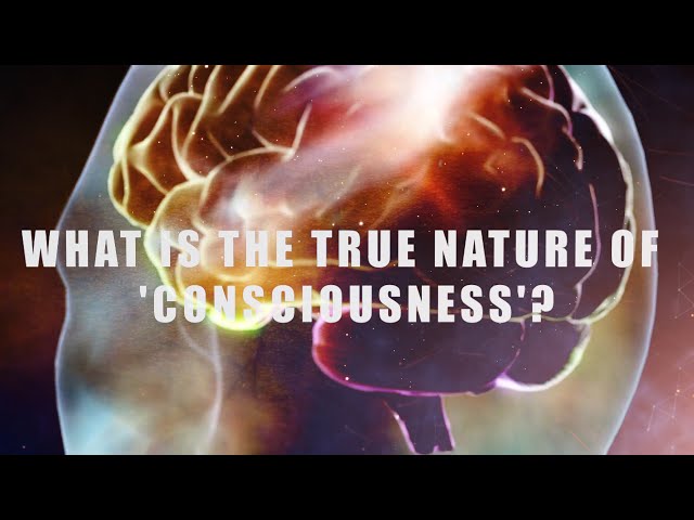 The Strange Phenomena of Split Brain.  What is the True Nature of 'Consciousness'?