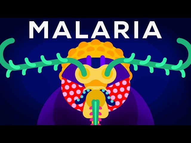 Genetic Engineering and Diseases – Gene Drive & Malaria
