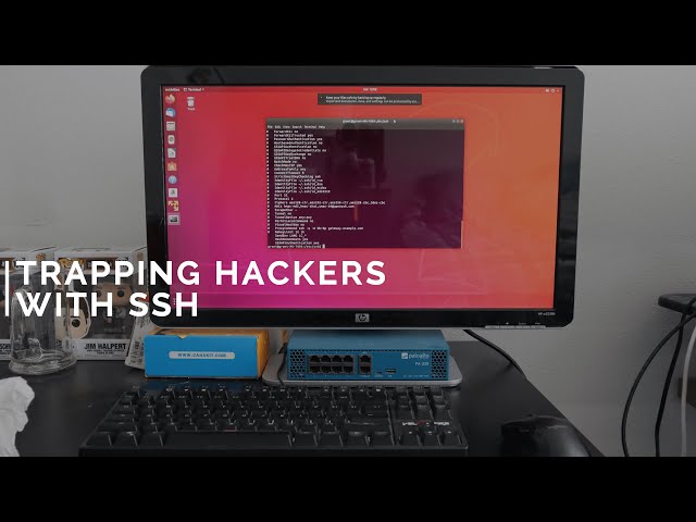 Catching Hackers & Bots with an SSH Honeypot | 30 Day Experiment
