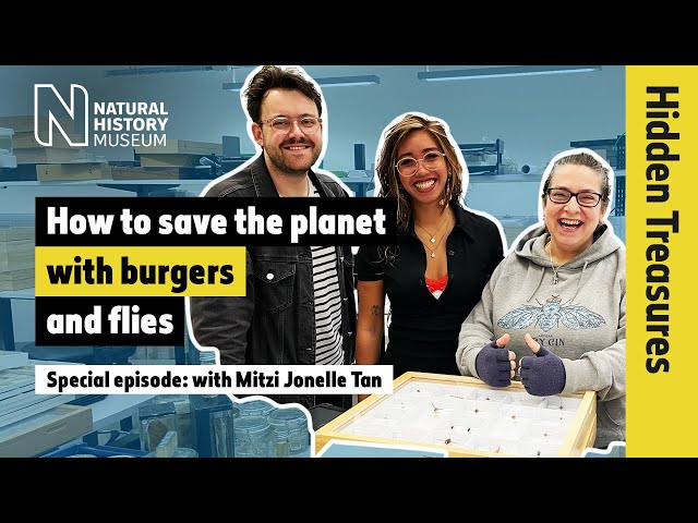 Give flies a chance, with climate justice activist Mitzi Jonelle Tan