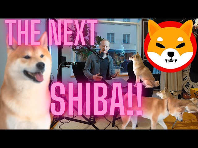 Which MEMECOIN is BEST? Next Shiba Inu 🐕