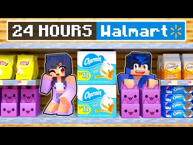 24 HOUR OVERNIGHT at WALMART In Minecraft!