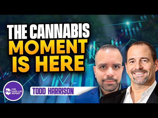 Wall Street Wisdom with Todd Harrison Charting the Cannabis Sector's Growth