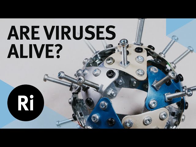 Are Viruses Alive? - with Carl Zimmer