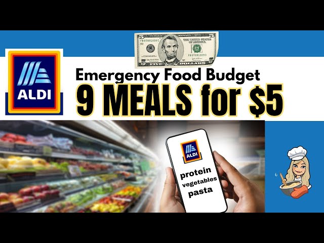 ALDI $5 FOOD CHALLENGE | BREAKFAST, LUNCH, & DINNER for 3 DAYS