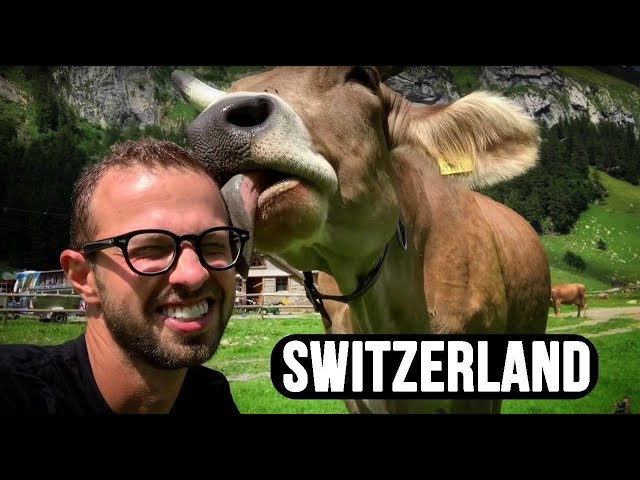 Why Switzerland is the almost perfect country.