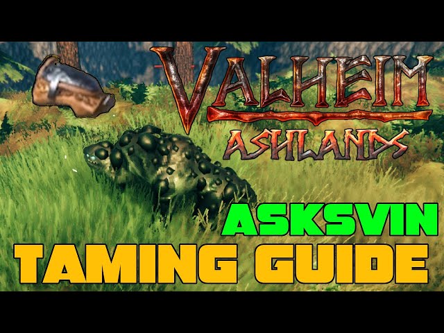 How to Tame A Asksvin in Valheim Ashlands! Full Taming Guide!
