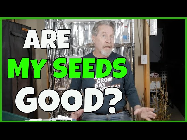 Seed Viability & Seed Vigor