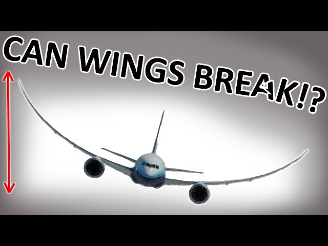Why don't the wings break?!