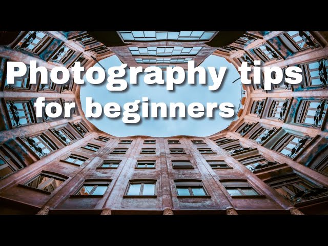 Photography for beginners. Basic Photography Composition