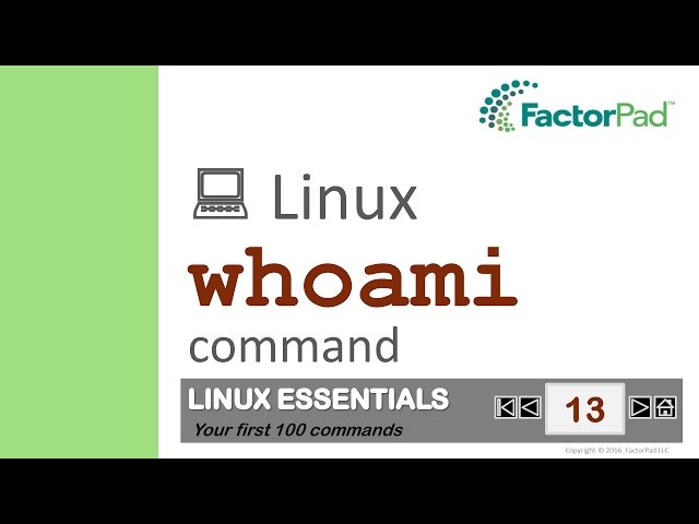 Linux whoami command summary with examples