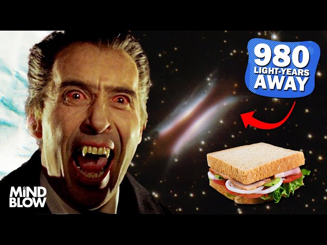What Is Dracula's Sandwich!? - Mind Blow