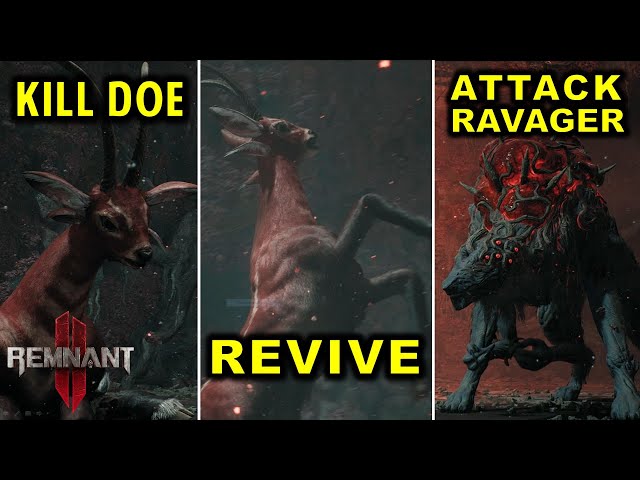 Kill Doe vs Revive Doe vs Attack Ravager: All Choices, Outcomes & Rewards | Remnant 2