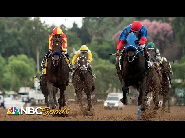 High-stakes upsets and disqualifications | All In: Road to the Breeders' Cup Classic | NBC Sports