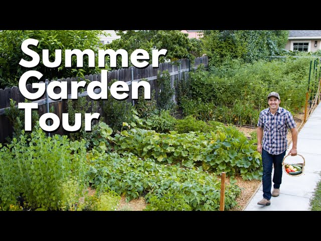 Summer Garden Tour
