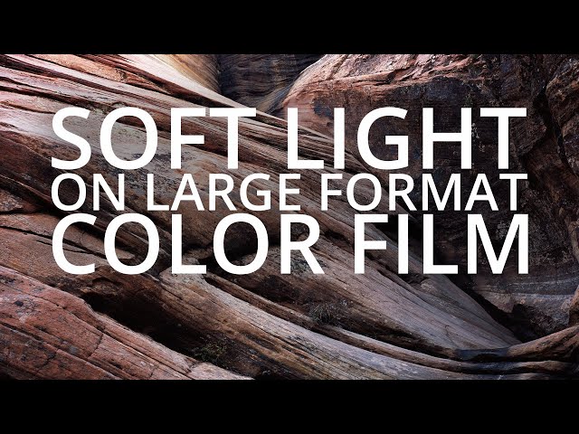Color Subjects And Overcast Lighting | Zion Fall Photography - Episode 8