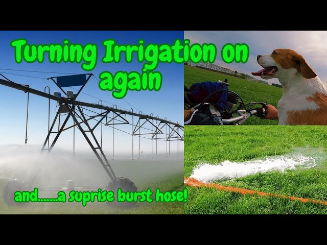 Turning Irrigation on again + finding a suprise burst hose!