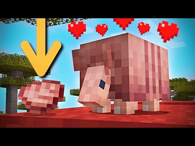 How to Find & Tame Armadillo in Minecraft 1.20.5