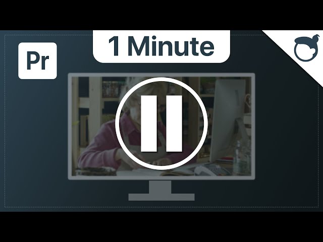 Premiere: Video Pausieren [1 Minute]