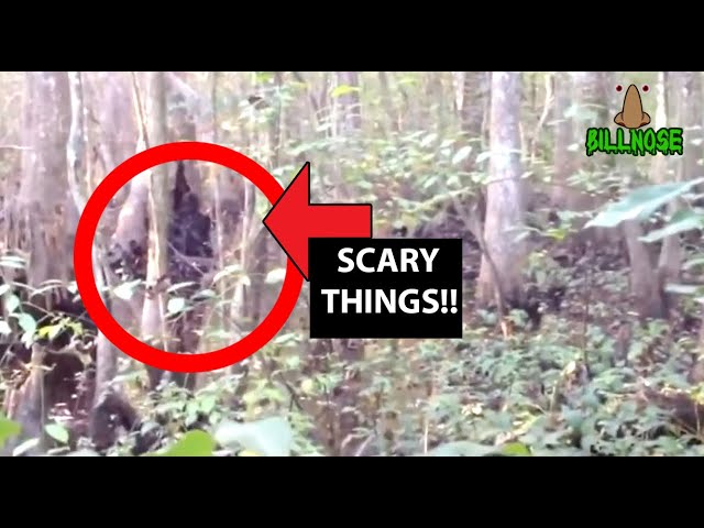 Top 20 Scary Videos of DISTURBING THINGS