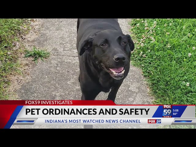 No charges after man shoots child’s service dog