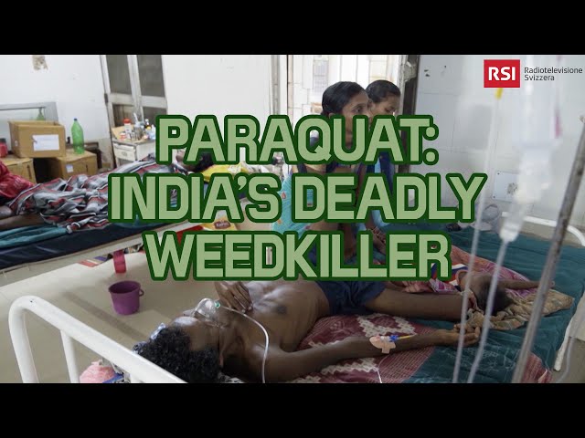 The Herbicide Killing Hundreds In Punjab And Odisha | Paraquat: India's Deadly Weedkiller