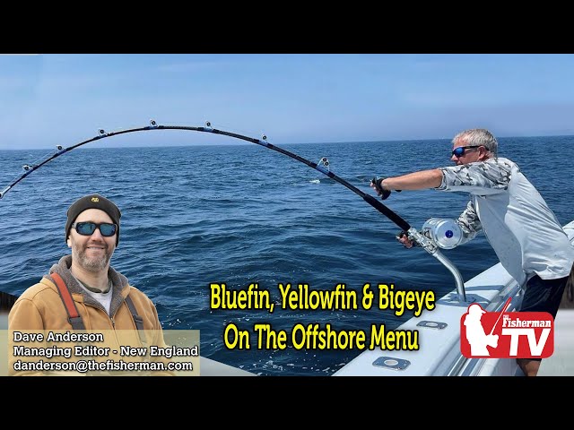 August 4, 2022  New England Video Fishing Forecast with Dave Anderson