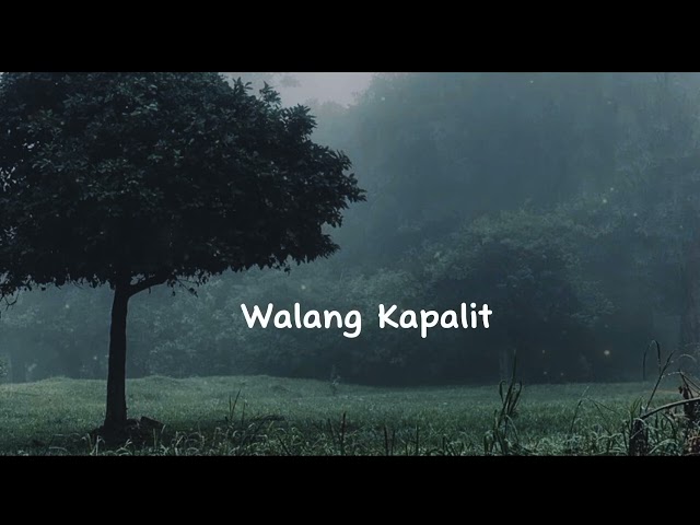 Walang Kapalit - Rey Valera ( Arthur Miguel Cover) || 30 minutes version ||