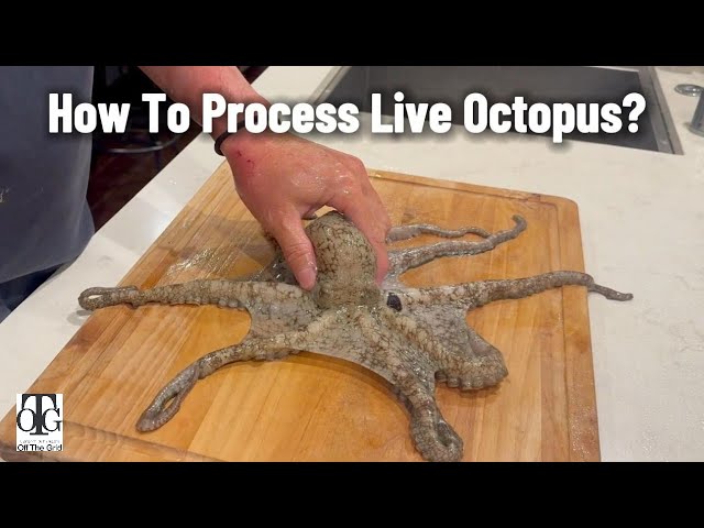 How to Process Live Octopus | Easy Raw Octopus Recipe