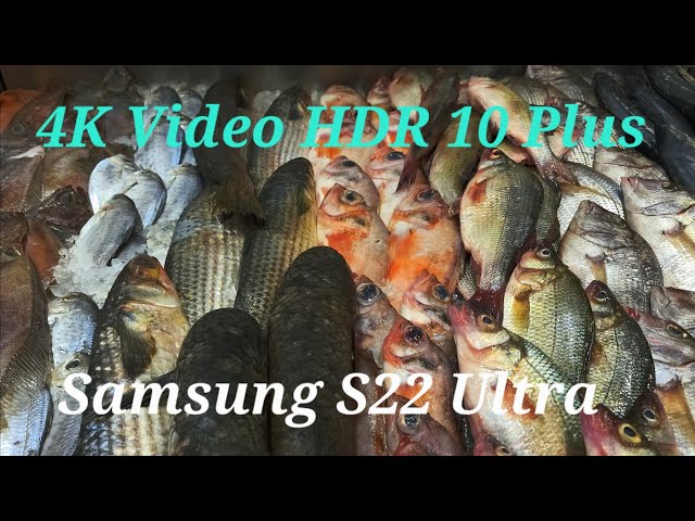 Samsung S32 Ultra camera 4K Video HDR 10 Plus TV demo