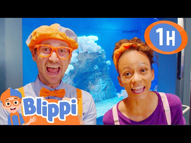 Blippi and Meekah Explore an Aquarium! | 1 HOUR OF BLIPPI! | Celebrating International Women's Day!