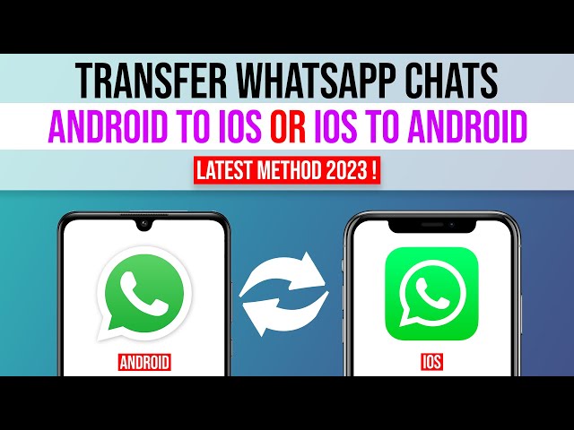 How to Download/Get WhatsApp Backup from Google Drive to iPhone? (2023)