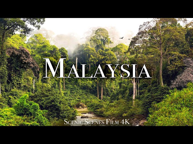 Malaysia In 4k - The Land Of Beautiful Topical Rainforest | Scenic Relaxation Film