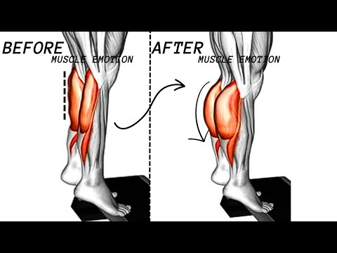 calves workout / programme musculation mollets