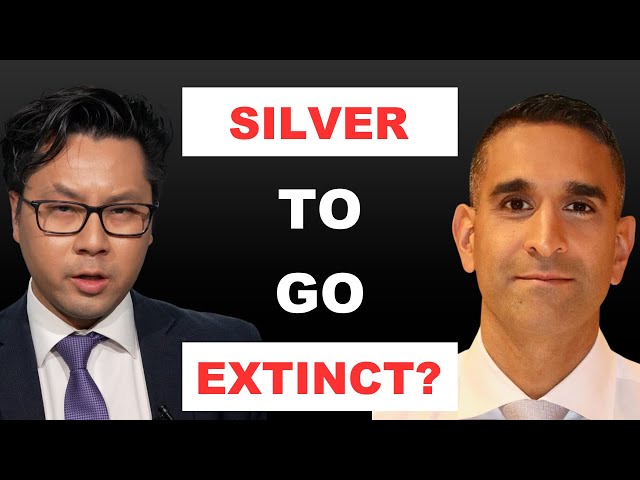 Why Silver Could Go 'Extinct', Double In Price Next Year | Dolly Varden CEO