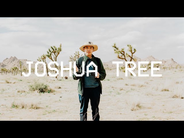 Joshua Tree on Film // Mamiya RB67 & Rolleicord V