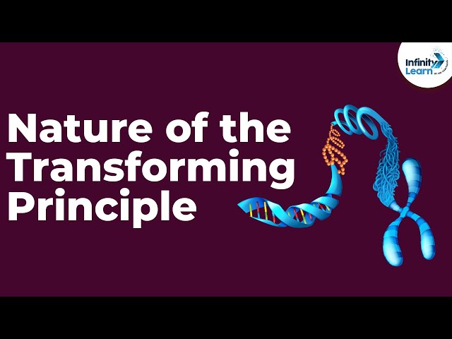 Genetics - Nature of the Transforming Principle - Lesson 13 | Don't Memorise