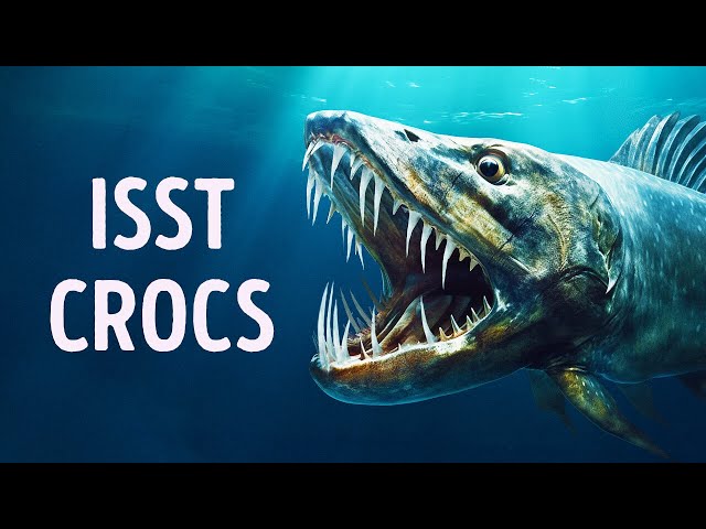 Dieser Fisch frisst Krokodile + 14 einzigartige Tierfakten