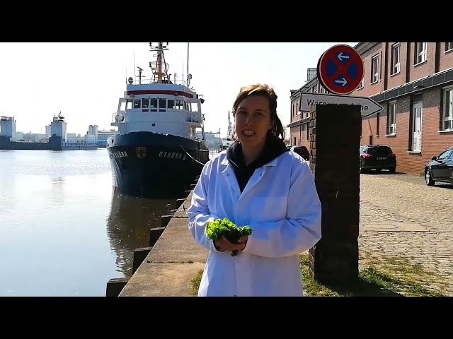 AWI Welcome Video for EU Seaweed Conference 2022