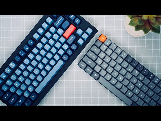 One of these is the BEST budget keyboard in 2024