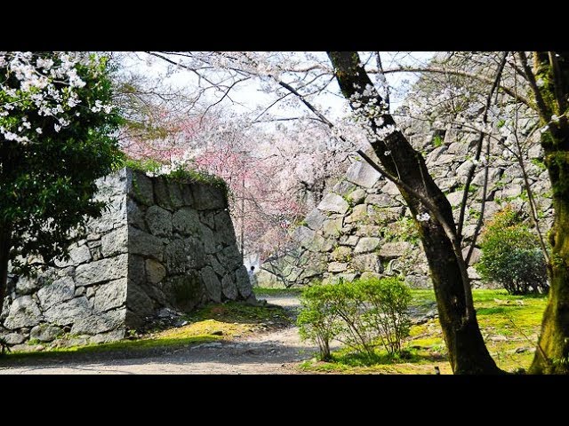 🏯 Castle Ruins Fukuoka City, May 2017 (See Description) 🏯
