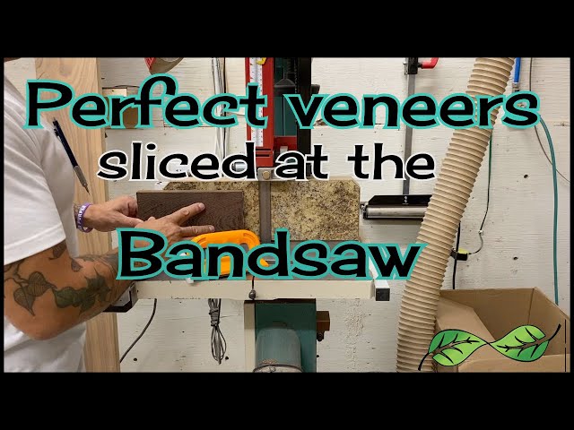 Perfect veneers sliced at the bandsaw