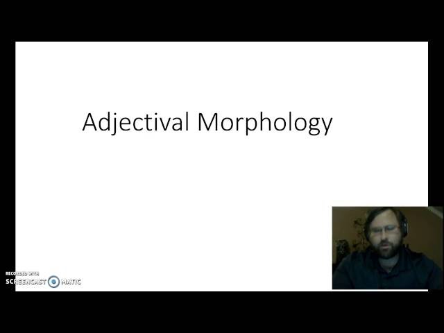 #17 Adjectival Morphology