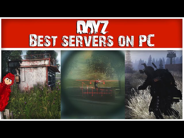 The BEST PC Servers You Need to Play on DayZ